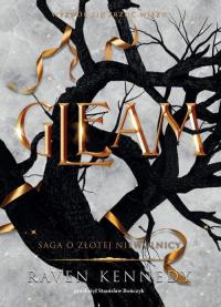 Gleam - okłakda ebooka