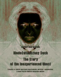 Niedoświadczony Duch. The Story - okłakda ebooka