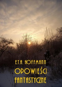 Powieści fantastyczne - okłakda ebooka