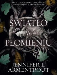 Światło w płomieniu - okłakda ebooka