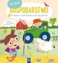 Dlaczego? Pytania i odpowiedzi... - okładka książki