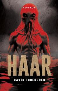 Haar - okłakda ebooka