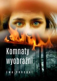 Komnaty wyobraźni - okłakda ebooka