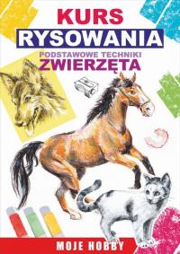 Kurs rysowania. Podstawowe techniki. - okłakda ebooka