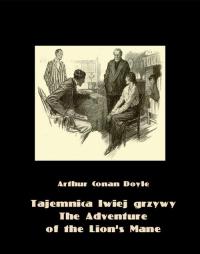 Tajemnica lwiej grzywy. The Adventure - okłakda ebooka