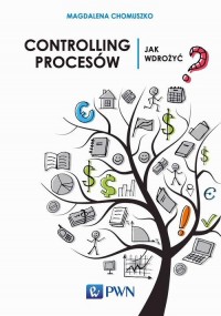 Controlling procesów. Jak wdrożyć? - okłakda ebooka