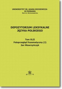 Depozytorium Leksykalne Języka - okłakda ebooka