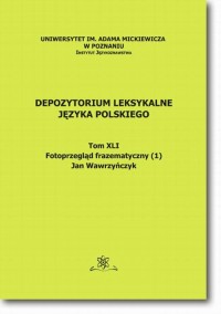 Depozytorium Leksykalne Języka - okłakda ebooka