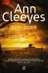 Dziki ogień - okłakda ebooka