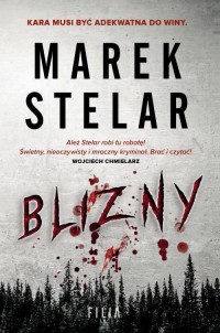 Blizny - okłakda ebooka