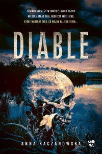 Diable - okłakda ebooka