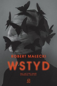 Wstyd - okłakda ebooka