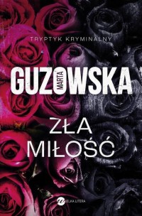 Zła miłość - okłakda ebooka