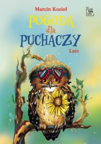 Pogoda dla puchaczy. Lato - okładka książki