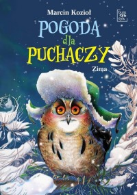 Pogoda dla puchaczy. Zima - okładka książki