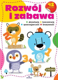 Rozwój i zabawa - okładka książki