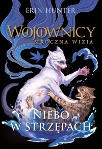Niebo w strzępach - okładka książki