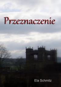Przeznaczenie - okłakda ebooka