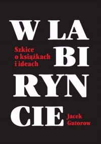 W labiryncie. Szkice o książkach - okładka książki