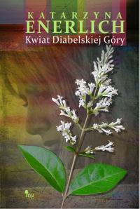 Kwiat Diabelskiej Góry - okłakda ebooka