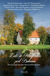 Lato w Pensjonacie pod Bukami - okłakda ebooka