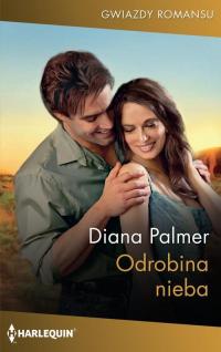 Odrobina nieba - okłakda ebooka