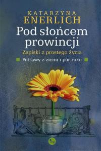 Pod słońcem prowincji. Zapiski - okłakda ebooka