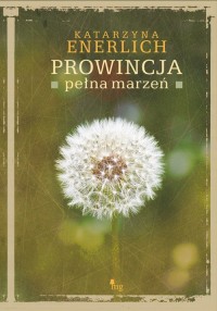 Prowincja pełna marzeń - okłakda ebooka