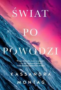 Świat po powodzi - okłakda ebooka