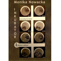 INKUBATOR - okłakda ebooka