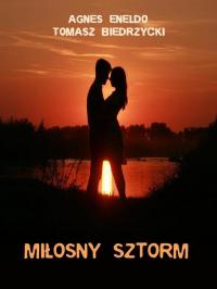Miłosny sztorm - okłakda ebooka