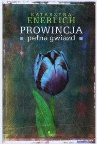 Prowincja pełna gwiazd - okłakda ebooka