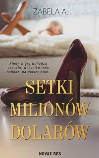 Setki milionów dolarów - okłakda ebooka