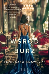 Wśród burz - okłakda ebooka
