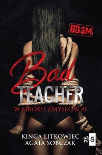 Bad Teacher. W mroku zmysłów - okłakda ebooka