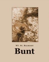 Bunt - okłakda ebooka