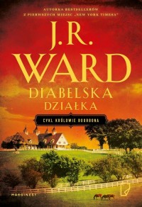 Diabelska działka - okłakda ebooka
