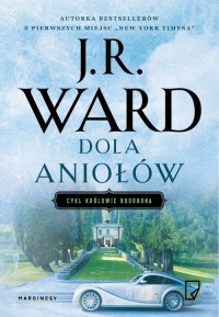 Dola aniołów - okłakda ebooka