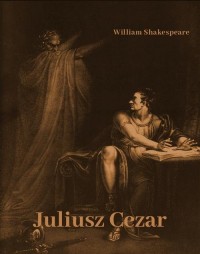 Juliusz Cezar - okłakda ebooka