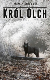Król Olch - okłakda ebooka