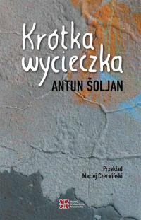 Krótka wycieczka - okłakda ebooka