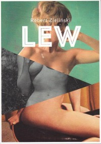 Lew - okłakda ebooka