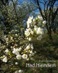 Nad Niemnem - okłakda ebooka