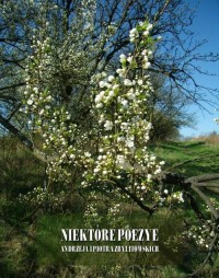 Niektóre poezye Andrzeja i Piotra - okłakda ebooka