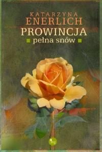 Prowincja pełna snów - okłakda ebooka