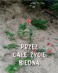 Przez całe życie biedna - okłakda ebooka