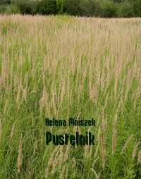 Pustelnik - okłakda ebooka