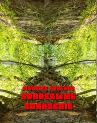 Straszliwe zdarzenie. Powieść - okłakda ebooka