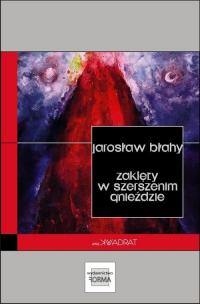 Zaklęty w szerszenim gnieździe - okłakda ebooka
