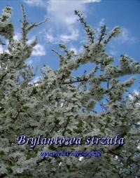 Brylantowa strzała. Opowieści niezwykłe - okłakda ebooka